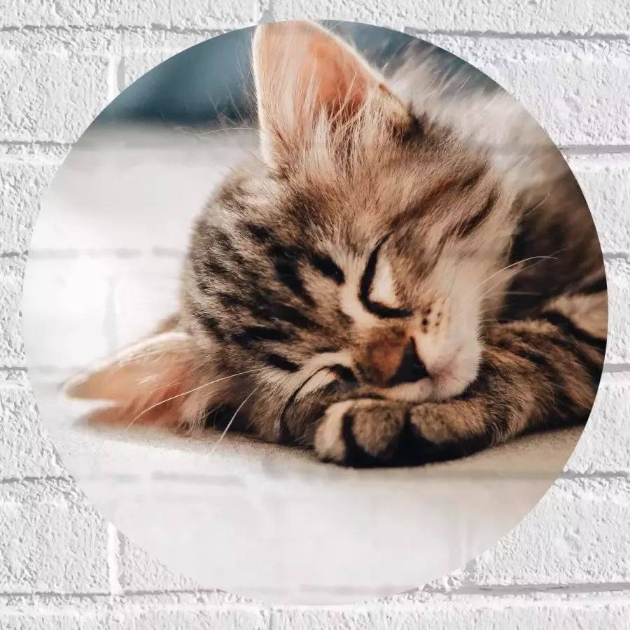 Muursticker Cirkel Rustende Kitten op Bank 40x40 cm Foto op Muursticker