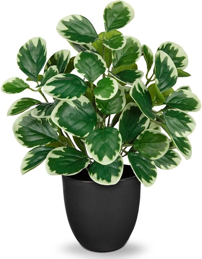 Oairse 37 cm kunstplanten in pot kunstkamerplant kunstpeperomia met muntblaadjes decoratie voor op het bureau bonsai kunstplanten met potten tafeldecoratie huis balkon kantoordecoratie
