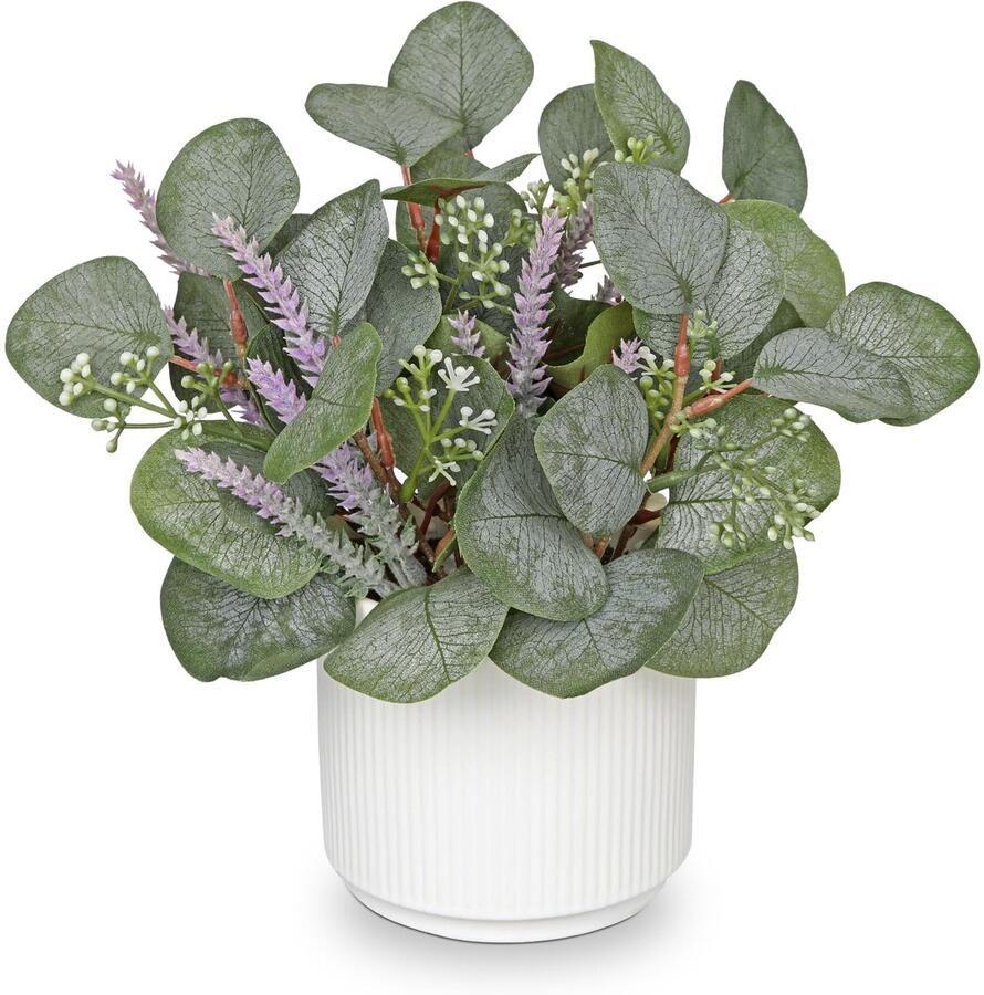 Oairse Kunstmatige Eucalyptus Plant Kunstplanten in pot kunstplanten zoals echt met keramische pot ter decoratie woonkamer kamer tafel decoratie badkamer bureau keuken tuin decoratie