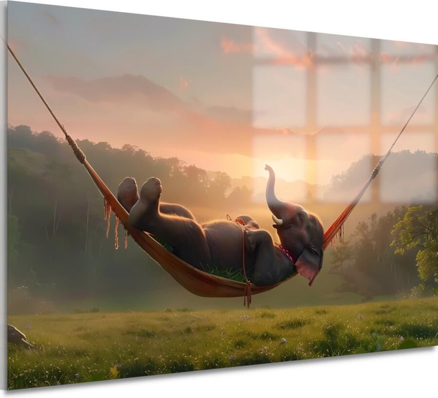 Olifant schilderijen glas Dier muurdecoratie Schilderij op glas Hangmat Muurdecoratie landelijk Schilderij plexiglas Wanddecoratie woonkamer acrylglas 90x60 cm