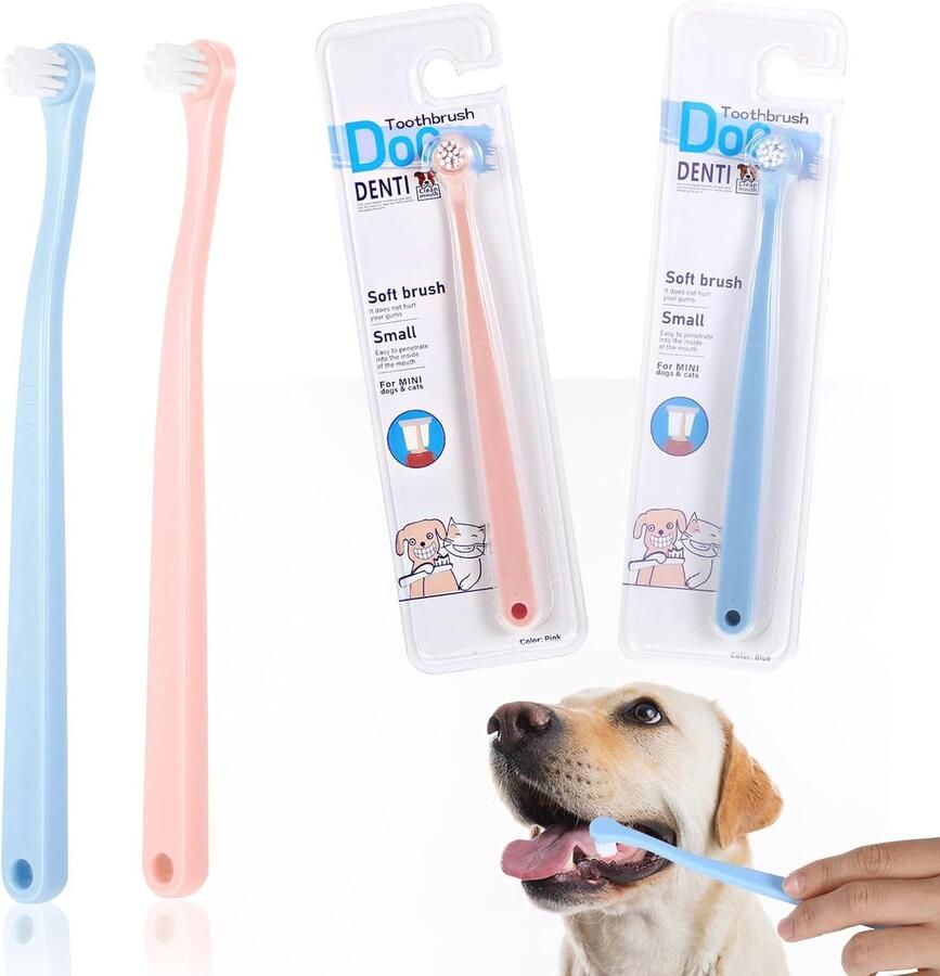 Opbergmanden van Natuurlijk Zeegras met Deksels Geweven Rechthoekige Manden voor Desk Organisatie