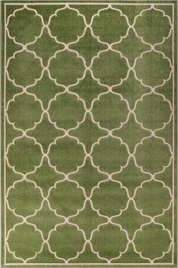 Outdoortapijt weerbestendig tapijt voor binnen en buiten balkontapijt waterafstotend voor terras tuin keuken badkamer of woonkamer groen 60 x 110 cm