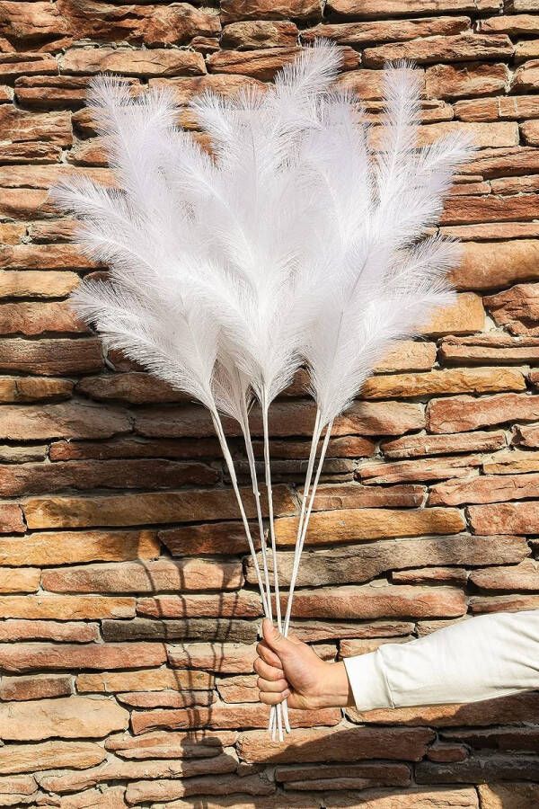 Pampasgras 5 stuks verrukkelijk 95 cm lang pampasgras grote decoratie droogbloemen gebruikt voor moderne woonkamer tafel badkamer en boho decoratie (wit)