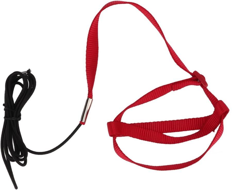 Parrot Flying Training Rope Verstelbare Vogel Harnas Parrot Flying Leash voor Grasparkiet Mynah Parrot