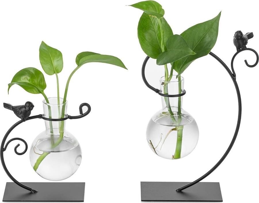 Plant Propagation Station Glazen Vaas 12 5cm 21cm Hoog Hydrocultuur Desktop Planter Kleine Terrarium Vazen met Metalen Creatieve Vogelstandaard Moderne Bolvaas voor Woonkamer Tafel