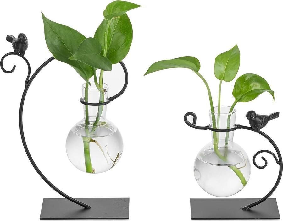 Glazen Vaas Plant Propagation Station Hydrocultuur Terrarium Vazen met Metalen Vogelstandaard Moderne Bolvaas voor Woonkamer Tafel