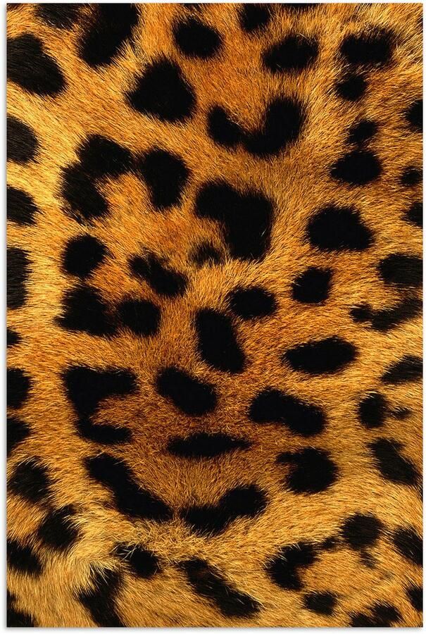 PosterMonkey Dierenhuid van een luipaard 120x180 cm XXL Groot formaat! Foto print op Poster (wanddecoratie woonkamer slaapkamer) - Foto 2