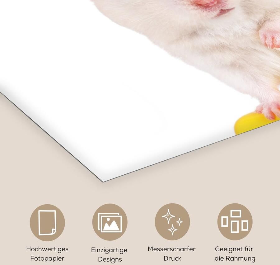 Poster 160x80 cm Witte hamster op een gele stoel Posters Kamer decoratie Wanddecoratie woonkamer Muurdecoratie slaapkamer - Foto 2