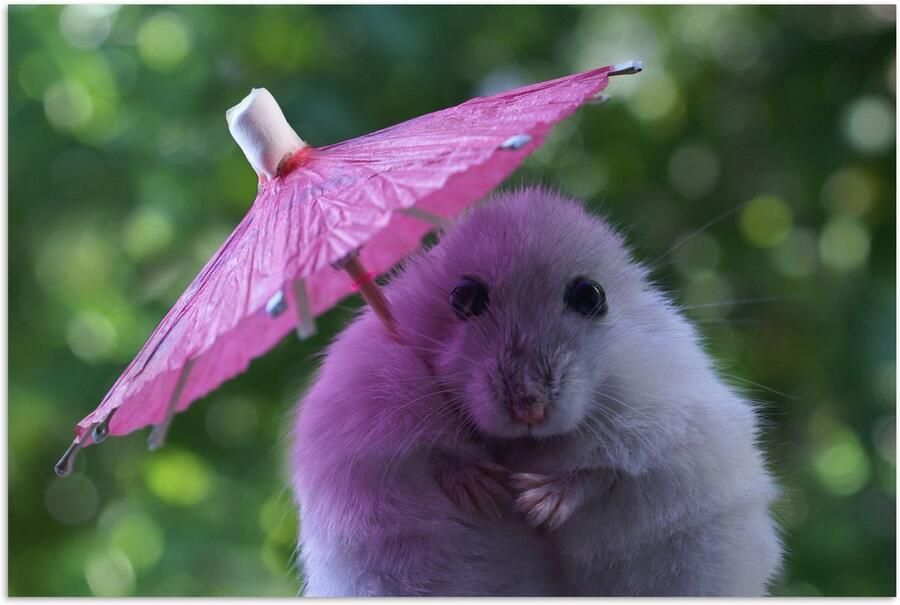 Poster 90x60 cm Hamster met een roze parasol Posters Kamer decoratie Wanddecoratie woonkamer Muurdecoratie slaapkamer - Foto 2