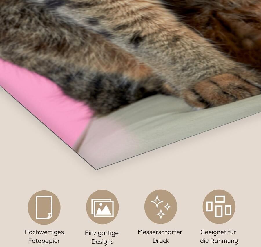 Poster 60x120 cm Kat Roze Poef Meisjes Kinderen Meiden Kind Posters Kamer decoratie Wanddecoratie woonkamer Muurdecoratie slaapkamer - Foto 2