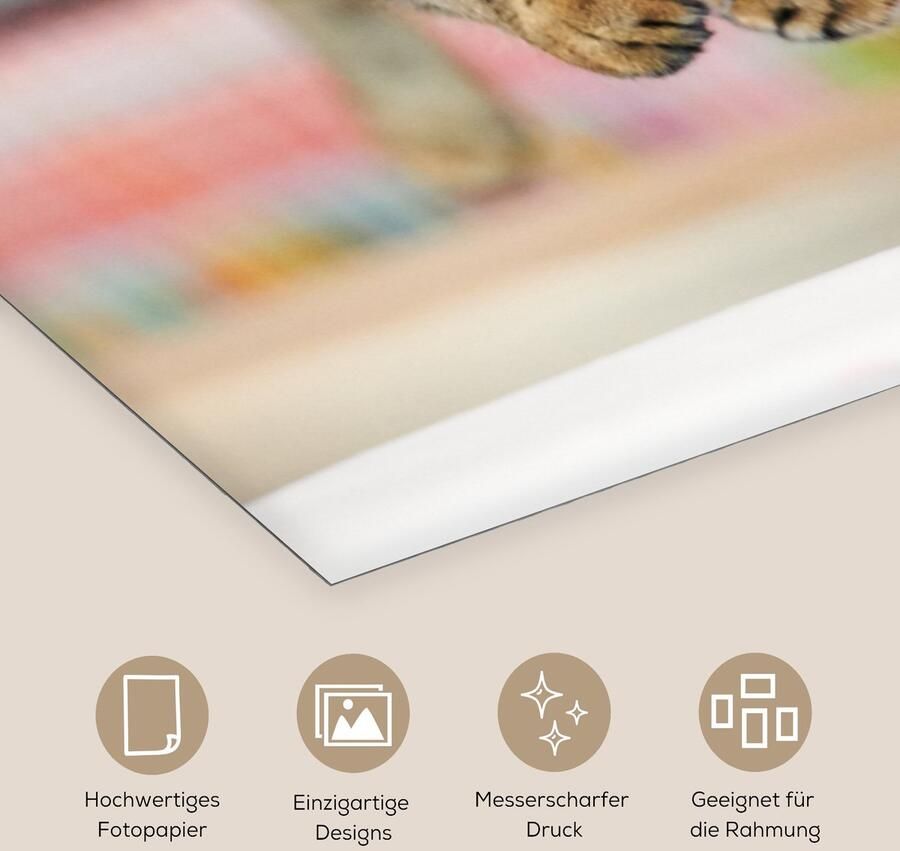 Poster 40x80 cm Kat Spring Stoel Posters Kamer decoratie Wanddecoratie woonkamer Muurdecoratie slaapkamer - Foto 2
