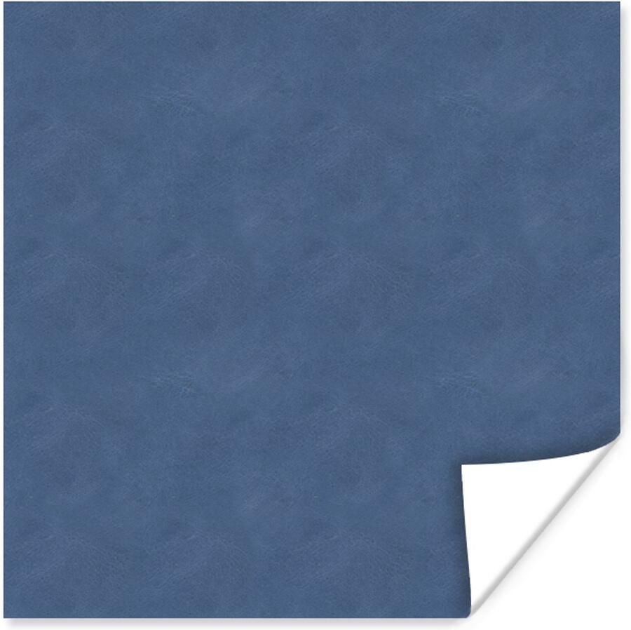 Poster 50x50 cm Leer Blauw Dierenhuid Posters Kamer decoratie Wanddecoratie woonkamer Muurdecoratie slaapkamer