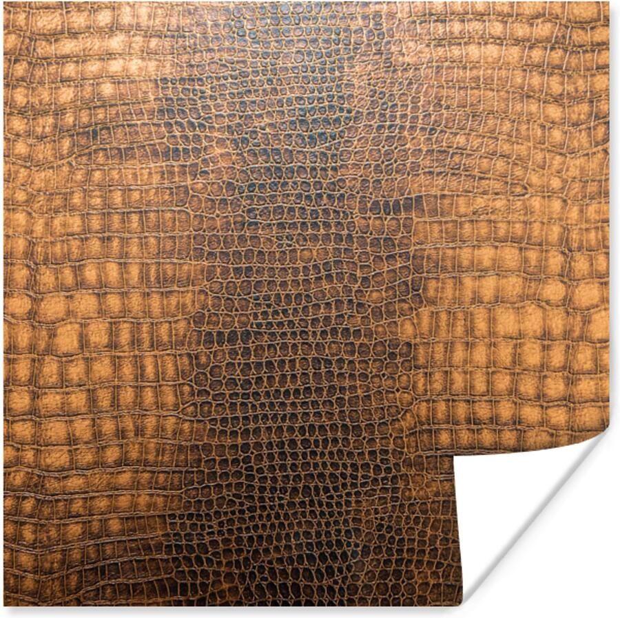 Poster 50x50 cm Leer Structuur Dierenhuid Posters Kamer decoratie Wanddecoratie woonkamer Muurdecoratie slaapkamer