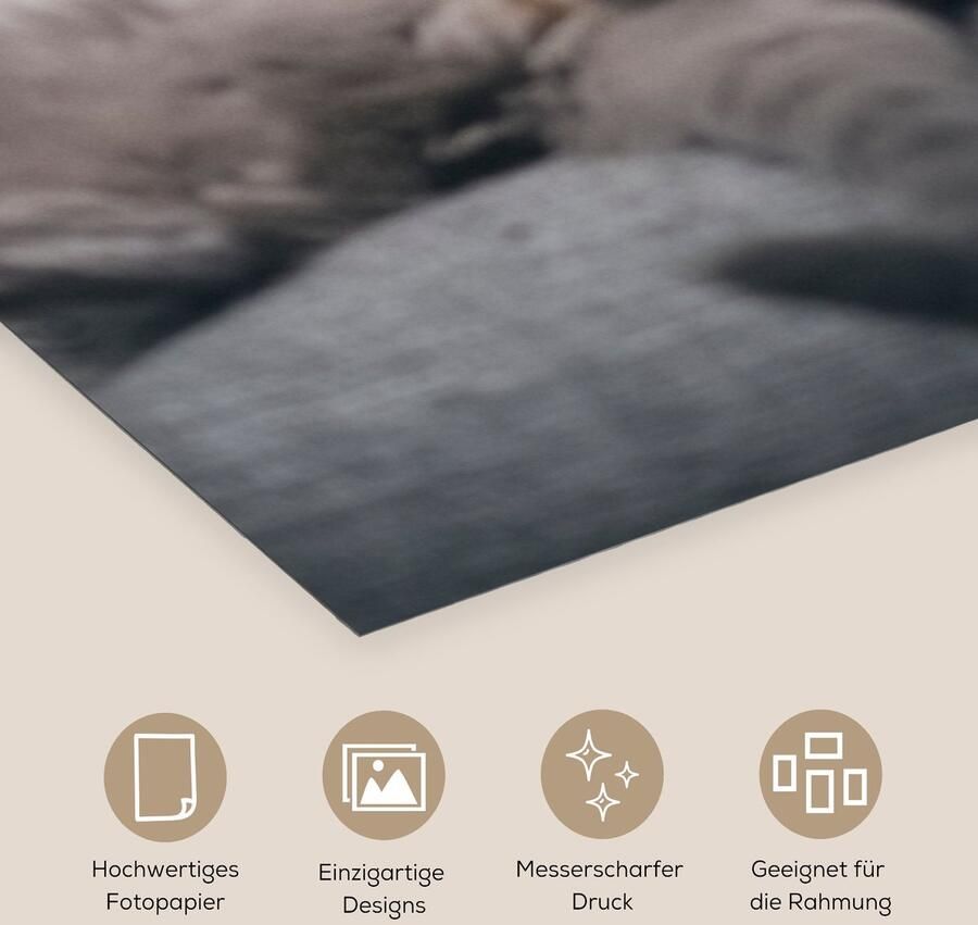 Poster 60x120 cm Kat Bank Lui Posters Kamer decoratie Wanddecoratie woonkamer Muurdecoratie slaapkamer - Foto 2