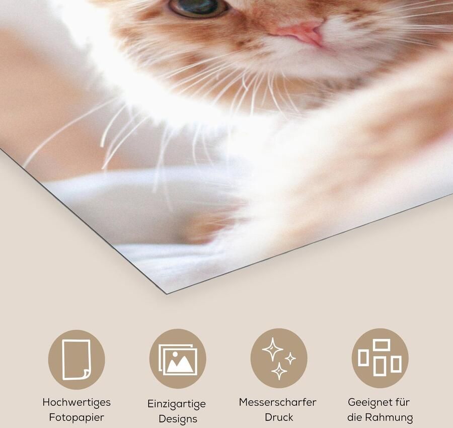 Poster 50x50 cm Kat Rood Bed Meisjes Kinderen Jongens Kids Posters Kamer decoratie Wanddecoratie woonkamer Muurdecoratie slaapkamer - Foto 2