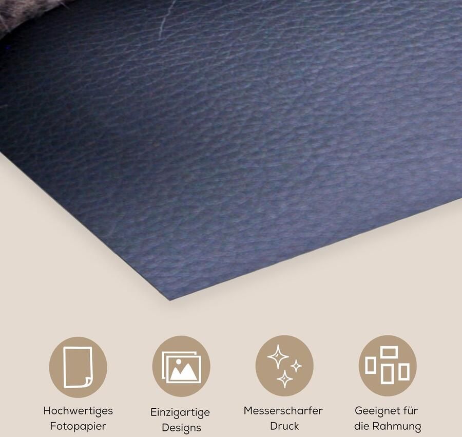 Poster 60x120 cm Kat Bang Stoel Posters Kamer decoratie Wanddecoratie woonkamer Muurdecoratie slaapkamer - Foto 2