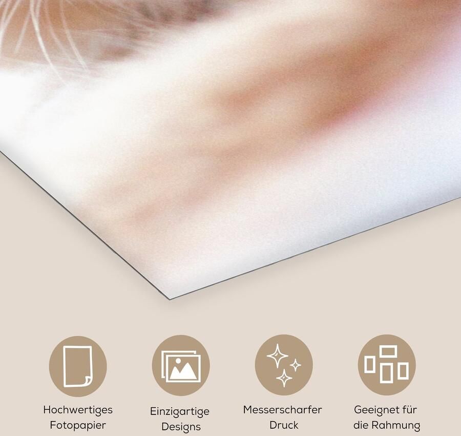 Poster 60x120 cm Kat Rood Bed Meisjes Kinderen Jongens Kids Posters Kamer decoratie Wanddecoratie woonkamer Muurdecoratie slaapkamer - Foto 2