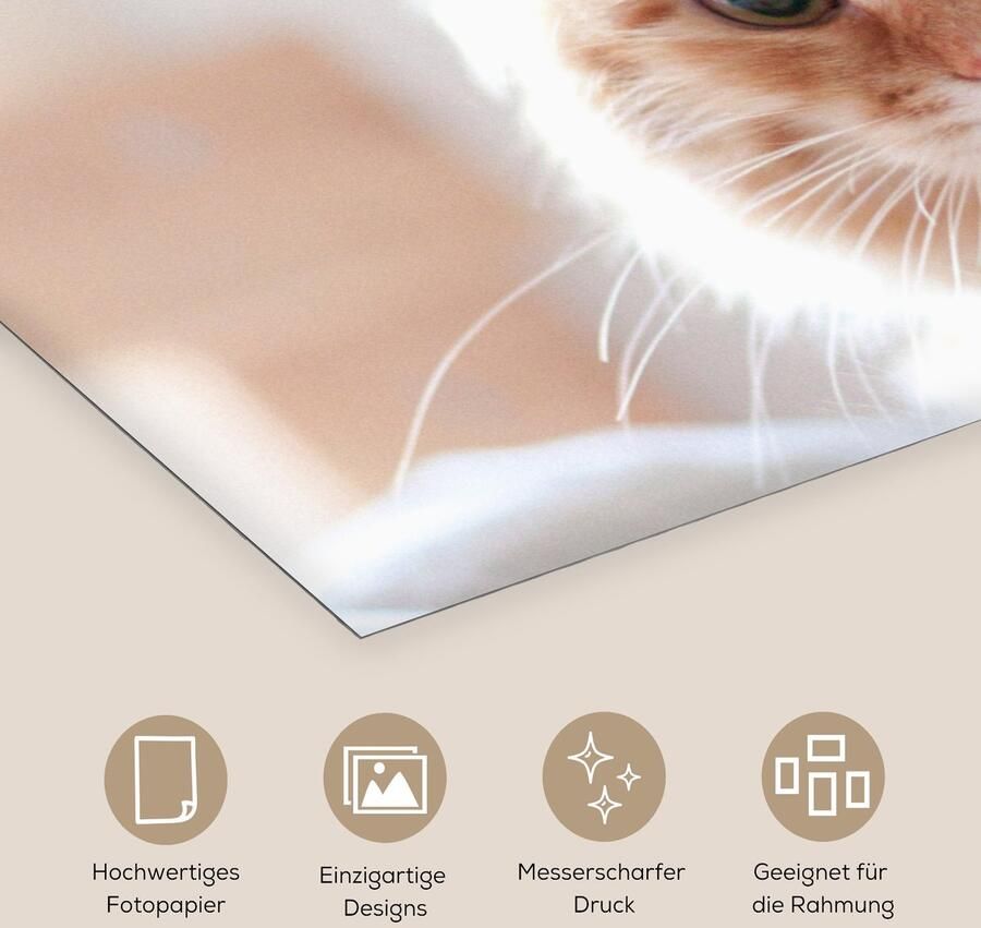 Poster 160x80 cm Kat Rood Bed Meisjes Kinderen Jongens Kids Posters Kamer decoratie Wanddecoratie woonkamer Muurdecoratie slaapkamer - Foto 2