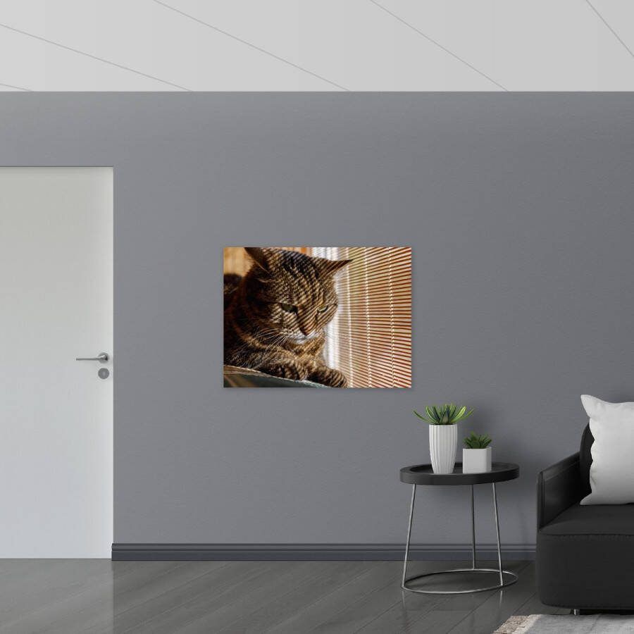 Poster Glanzend – Gestreepte kat zit op bank voort het raam 100x75 cm Foto op Posterpapier met Glanzende Afwerking