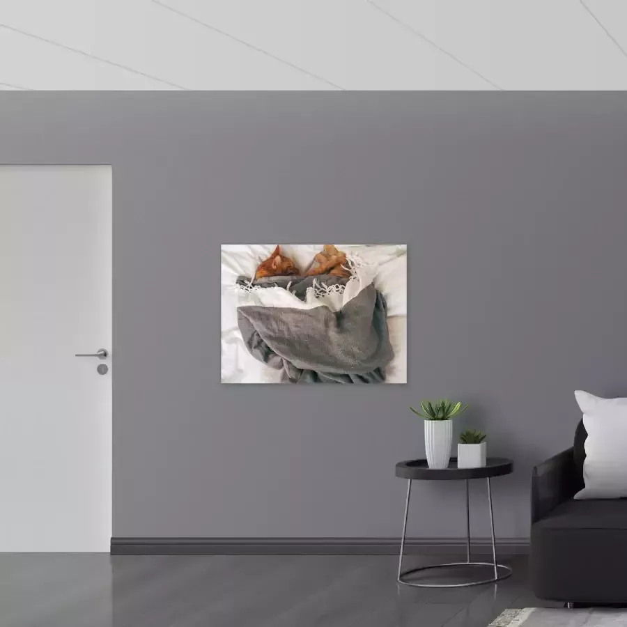 Poster Glanzend – Rode Kat onder Deken op Bed 100x75 cm Foto op Posterpapier met Glanzende Afwerking