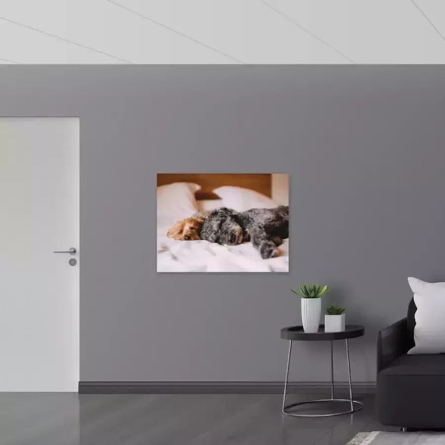 Poster Glanzend – Uitrustende Puppy's op Witte Lakens van Bed 100x75 cm Foto op Posterpapier met Glanzende Afwerking