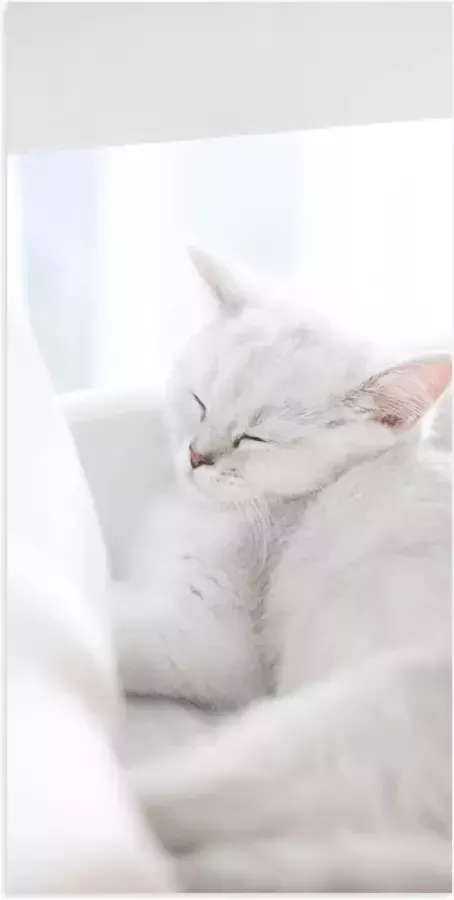 Poster Glanzend – Witte Kat slapend tegen Witte Bank 50x100 cm Foto op Posterpapier met Glanzende Afwerking