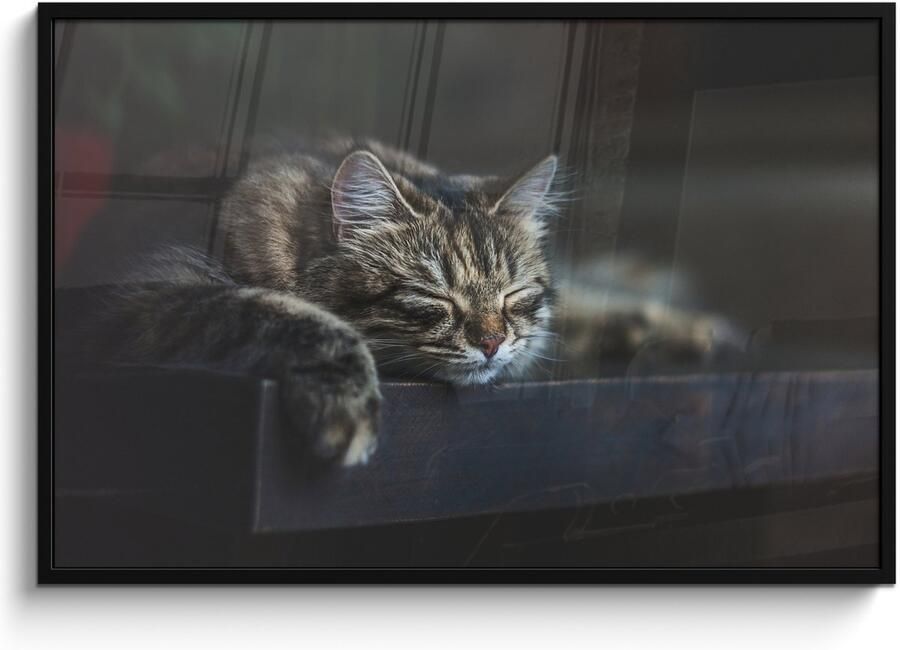Poster in lijst Fotolijst 120x80 cm Posters Kat ligt op een zwarte tafel te slapen Posterlijst zwart Decoratie Wanddecoratie woonkamer Muurdecoratie slaapkamer - Foto 2