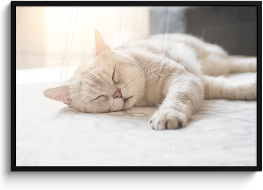 Poster in lijst Fotolijst 120x80 cm Posters Kat slaapt op bed Posterlijst zwart Decoratie Wanddecoratie woonkamer Muurdecoratie slaapkamer - Foto 2
