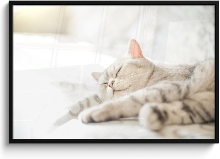 Poster in lijst Fotolijst 120x80 cm Posters Kat slaapt op de bank Posterlijst zwart Decoratie Wanddecoratie woonkamer Muurdecoratie slaapkamer - Foto 2