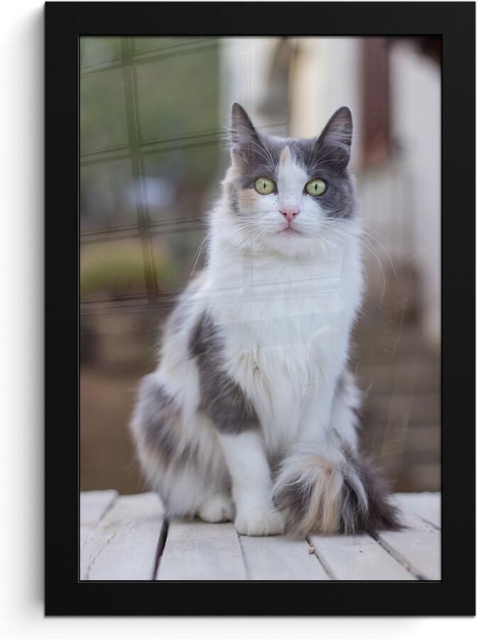 Poster in lijst Fotolijst 20x30 cm Posters Kat Portret Tafel Meisjes Kinderen Jongens Kids Posterlijst zwart Decoratie Wanddecoratie woonkamer Muurdecoratie slaapkamer - Foto 2