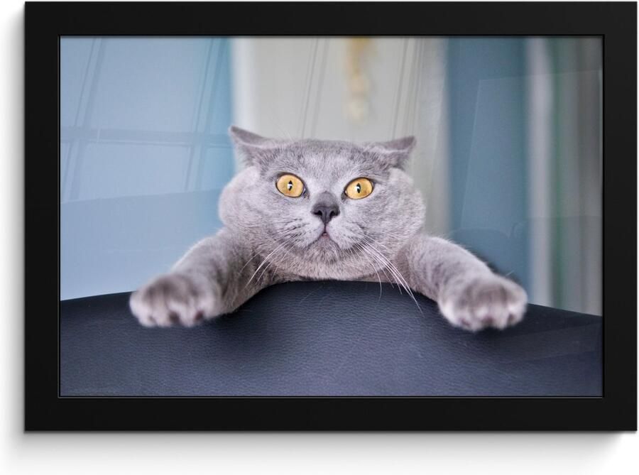 Poster in lijst Fotolijst 30x20 cm Posters Kat Bang Stoel Posterlijst zwart Decoratie Wanddecoratie woonkamer Muurdecoratie slaapkamer - Foto 2