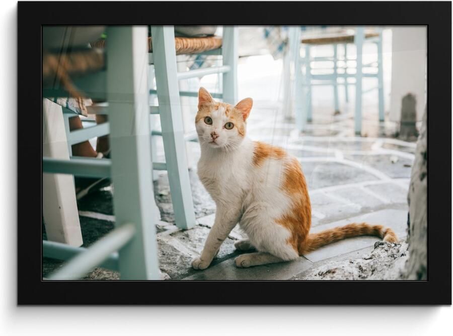 Poster in lijst Fotolijst 30x20 cm Posters Kat Stoel Grond Posterlijst zwart Decoratie Wanddecoratie woonkamer Muurdecoratie slaapkamer - Foto 2