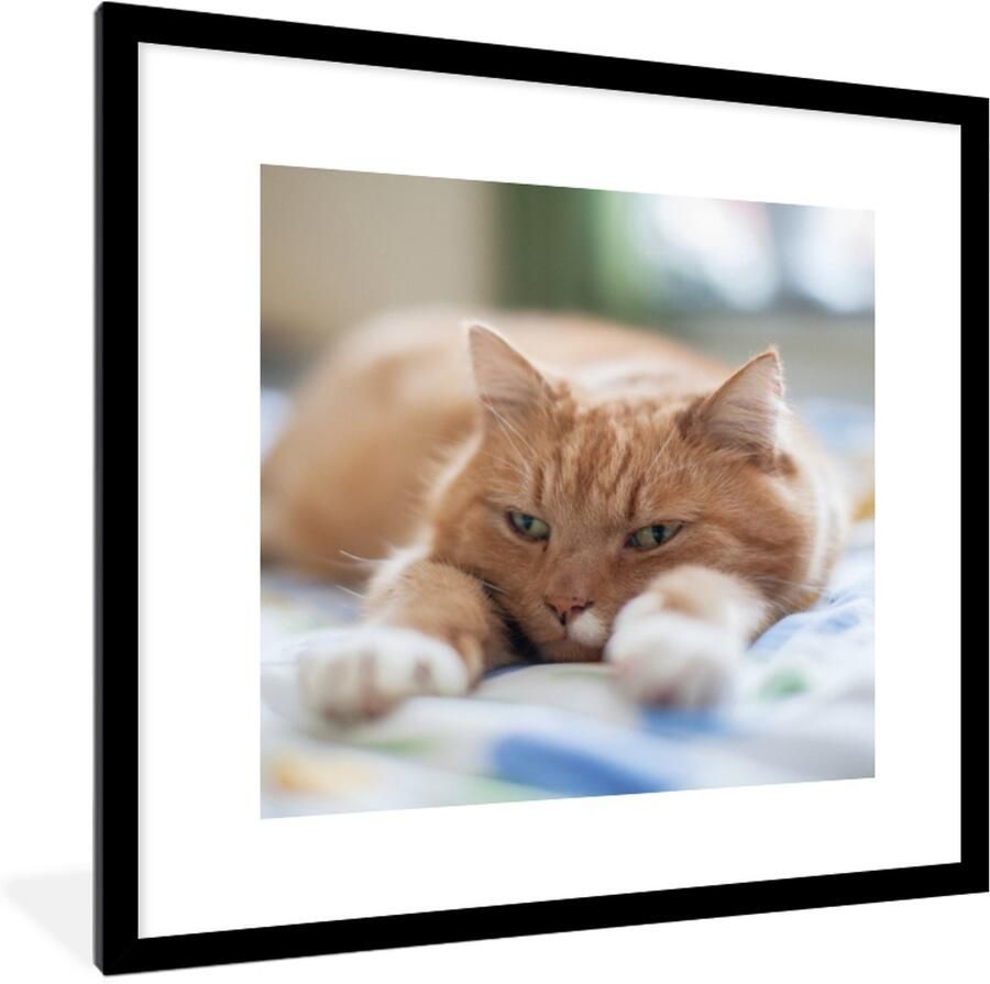 Poster in lijst Fotolijst 40x40 cm Posters Kat Bed Bedsprei Meisjes Kinderen Jongens Kind Posterlijst zwart Decoratie Wanddecoratie woonkamer Muurdecoratie slaapkamer - Foto 2