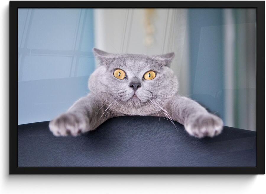 Poster in lijst Fotolijst 60x40 cm Posters Kat Bang Stoel Posterlijst zwart Decoratie Wanddecoratie woonkamer Muurdecoratie slaapkamer - Foto 2