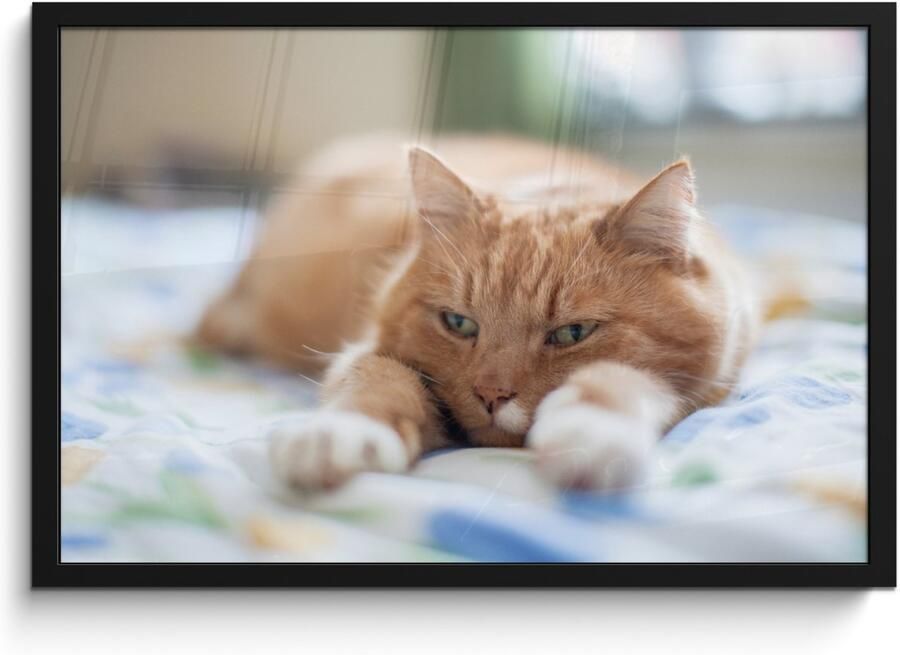 Poster in lijst Fotolijst 60x40 cm Posters Kat Bed Bedsprei Meisjes Kinderen Jongens Kind Posterlijst zwart Decoratie Wanddecoratie woonkamer Muurdecoratie slaapkamer - Foto 3