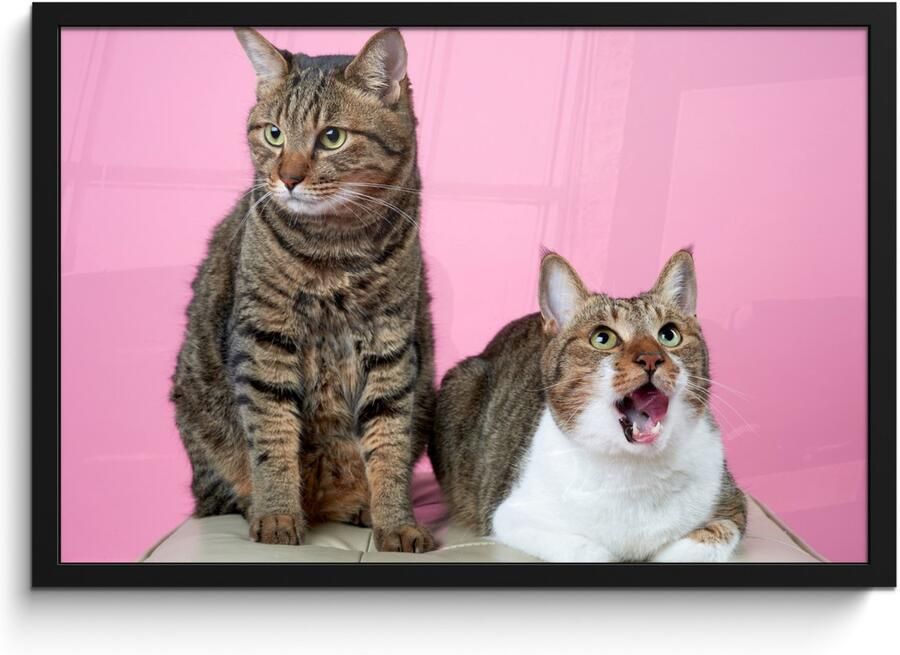 Poster in lijst Fotolijst 60x40 cm Posters Kat Roze Poef Meisjes Kinderen Meiden Kind Posterlijst zwart Decoratie Wanddecoratie woonkamer Muurdecoratie slaapkamer - Foto 2