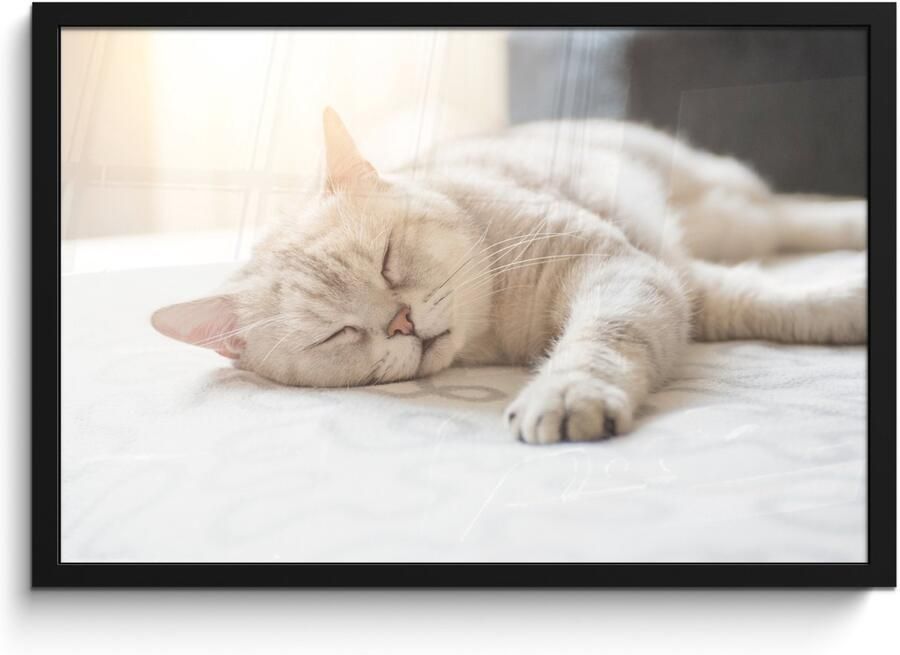 Poster in lijst Fotolijst 60x40 cm Posters Kat slaapt op bed Posterlijst zwart Decoratie Wanddecoratie woonkamer Muurdecoratie slaapkamer - Foto 2