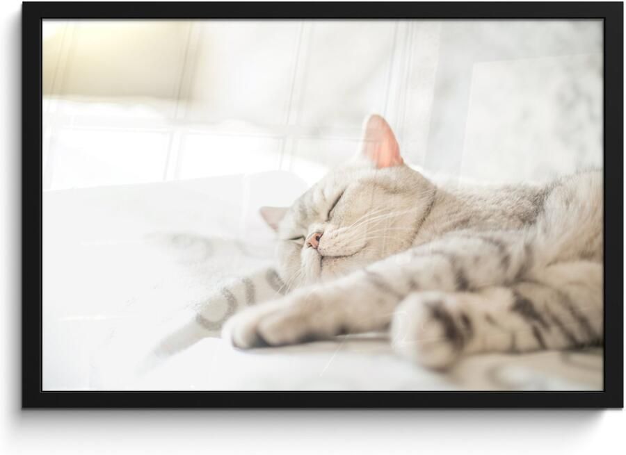 Poster in lijst Fotolijst 60x40 cm Posters Kat slaapt op de bank Posterlijst zwart Decoratie Wanddecoratie woonkamer Muurdecoratie slaapkamer - Foto 2