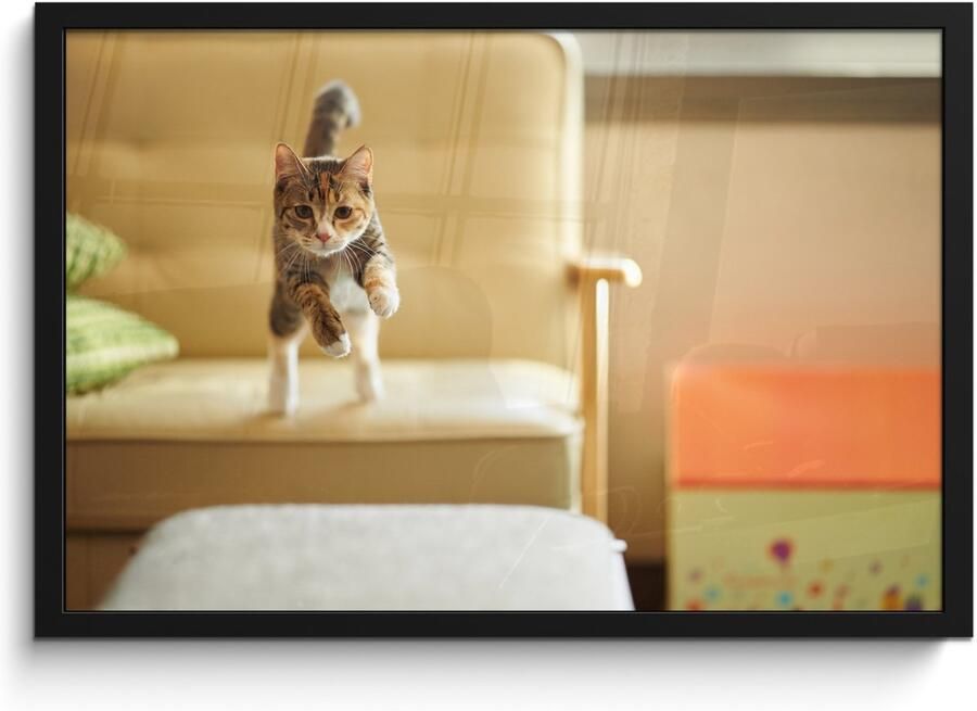 Poster in lijst Fotolijst 60x40 cm Posters Kat Spring Stoel Posterlijst zwart Decoratie Wanddecoratie woonkamer Muurdecoratie slaapkamer - Foto 2