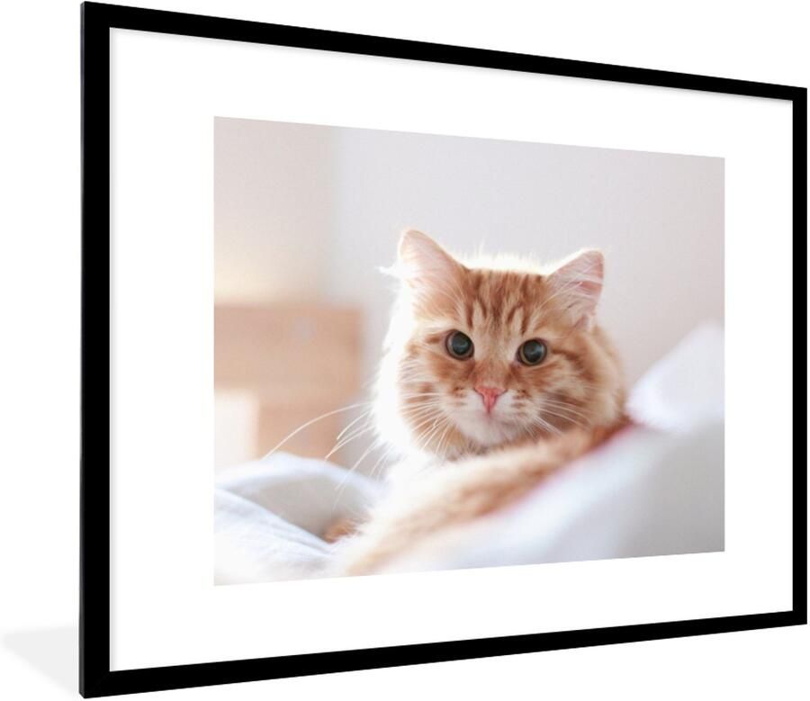 Poster in lijst Fotolijst 80x60 cm Posters Kat Rood Bed Meisjes Kinderen Jongens Kids Posterlijst zwart Decoratie Wanddecoratie woonkamer Muurdecoratie slaapkamer - Foto 2