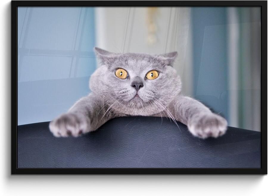 Poster in lijst Fotolijst 90x60 cm Posters Kat Bang Stoel Posterlijst zwart Decoratie Wanddecoratie woonkamer Muurdecoratie slaapkamer - Foto 2