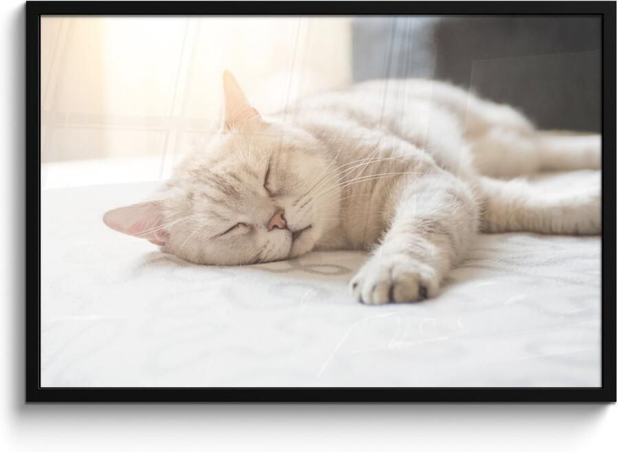 Poster in lijst Fotolijst 90x60 cm Posters Kat slaapt op bed Posterlijst zwart Decoratie Wanddecoratie woonkamer Muurdecoratie slaapkamer - Foto 2