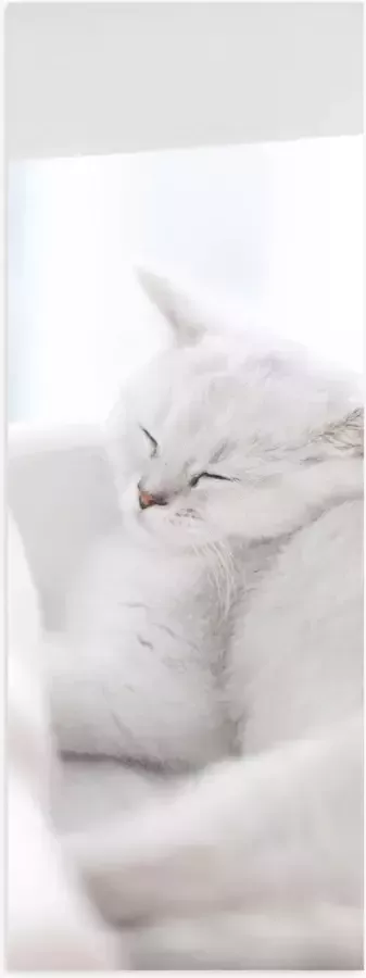 Poster (Mat) Witte Kat slapend tegen Witte Bank 20x60 cm Foto op Posterpapier met een Matte look