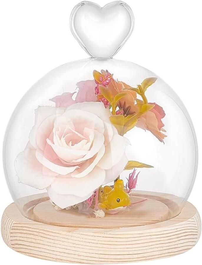 Premium Koepelbel met Glazen Display en Houten Sokkel Decoratieve Vitrine voor Glazen en Bloemen Stijlvol Huisdecoratie met Hartvormige Glasafdekking