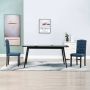 Prolenta Premium Eetkamerstoelen 2 st stof blauw Fauteuil Fauteuils - Thumbnail 1