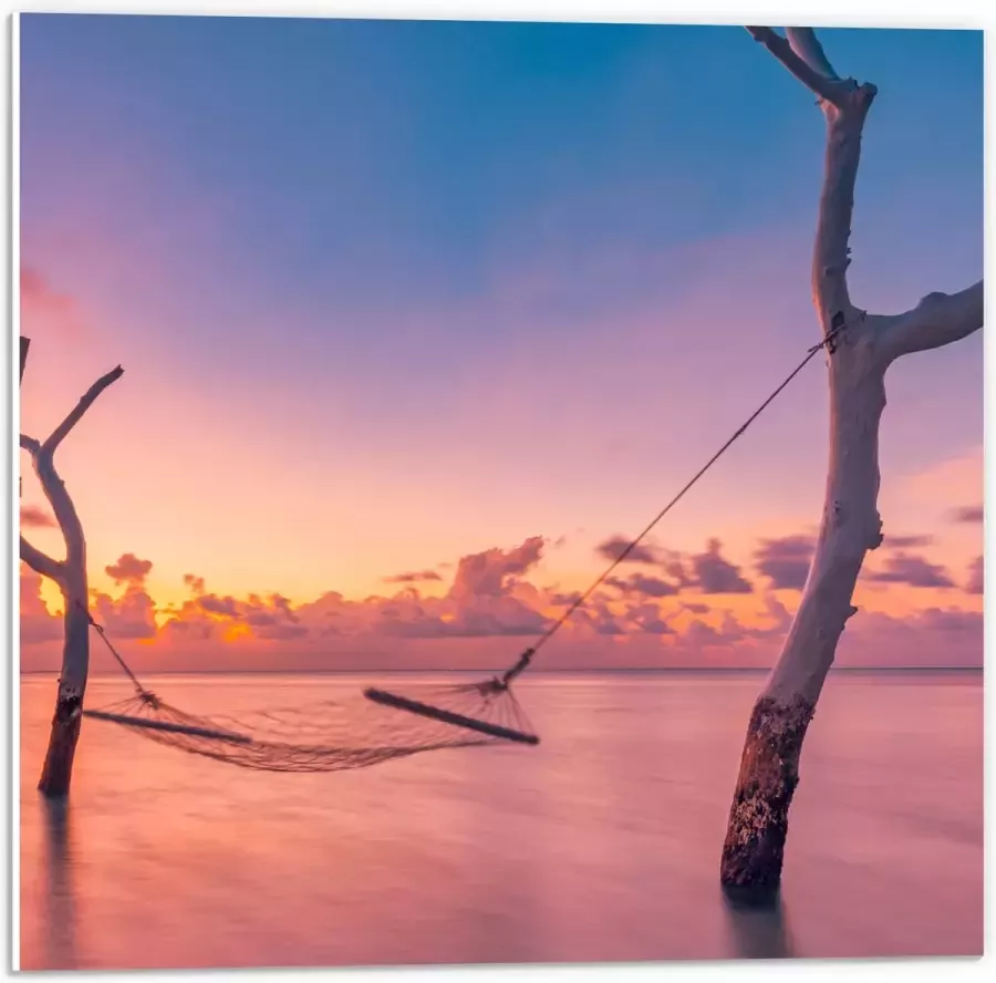 PVC Schuimplaat- Hangmat tussen Kale Takken in de Zee tijdens Zonsondergang 50x50 cm Foto op PVC Schuimplaat