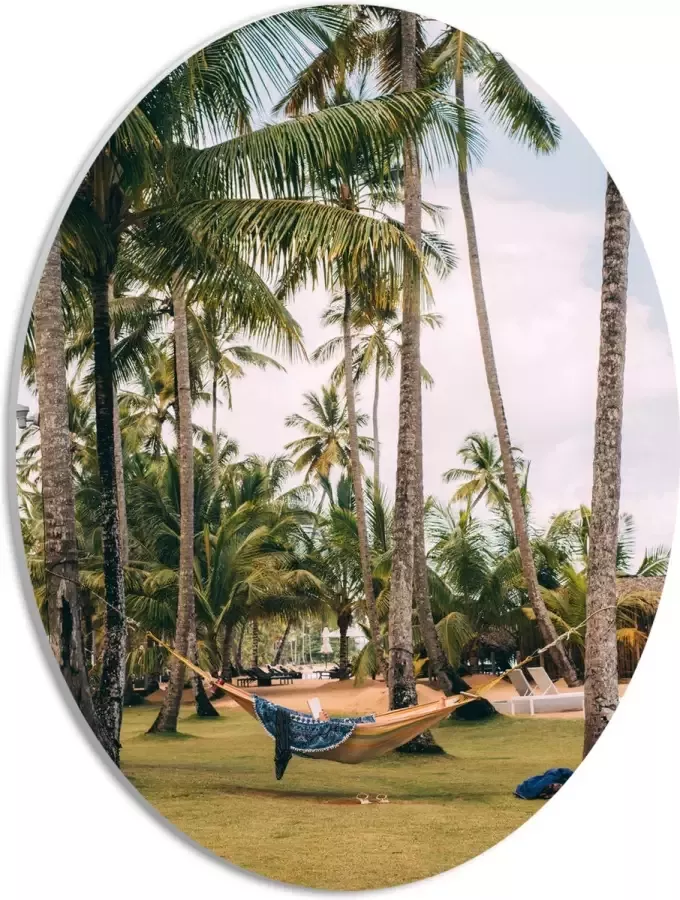 PVC Schuimplaat Ovaal Hangmat tussen Palmbomen 30x40 cm Foto op Ovaal (Met Ophangsysteem)