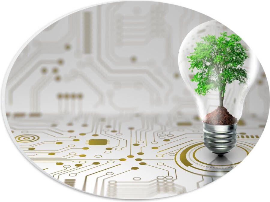 PVC Schuimplaat Ovaal Lamp Boompje Groen Technologie 28x21 cm Foto op Ovaal (Met Ophangsysteem)