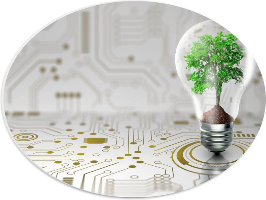 PVC Schuimplaat Ovaal Lamp Boompje Groen Technologie 40x30 cm Foto op Ovaal (Met Ophangsysteem)