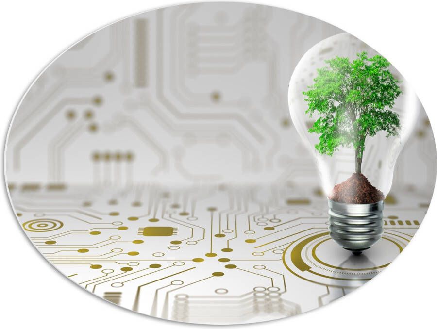 PVC Schuimplaat Ovaal Lamp Boompje Groen Technologie 80x60 cm Foto op Ovaal (Met Ophangsysteem)